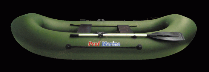 Лодка ProfMarine PM 280 зеленый